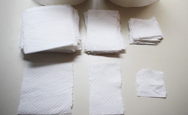 Paper Towels