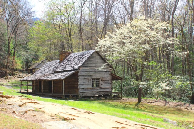 Gatlinburg Cherokee Orchid Road Olge House with the Dogwoods