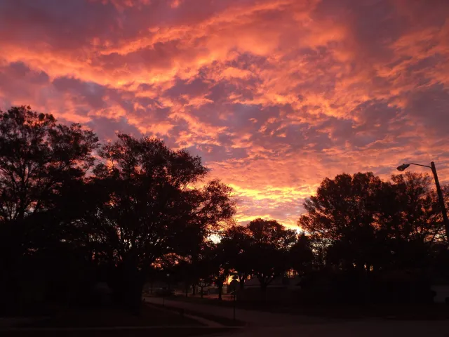 Sunrise-2-2012-4-29-Palm-Harbor-scaled