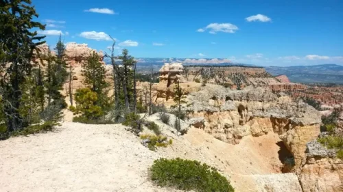 Bryce-20170513-scaled