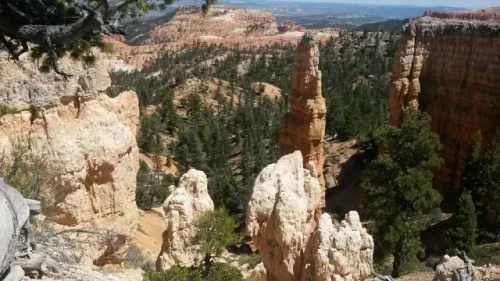 Bryce-3-20170513-scaled